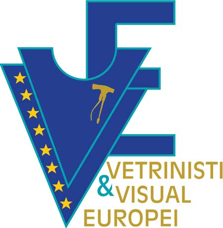 Associazione Vetrinisti Visual Europei