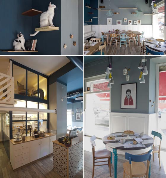 ROMEOW Cat Bistrot Concept by Tommaso Guerra designer