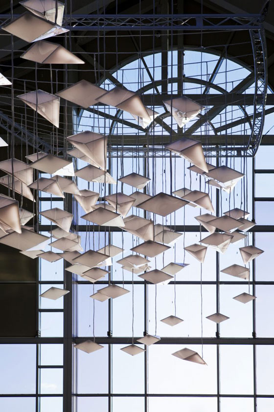 Flock of Birds Paul Nulty