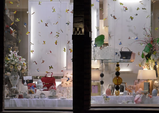 VISUAL BUTTERFLY TEA