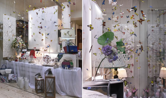 allestimento vetrina_butterfly_tea design Gariselli Associati
