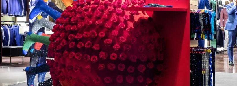 Alessandro Luciani seduce Milano con 600 rose rosse