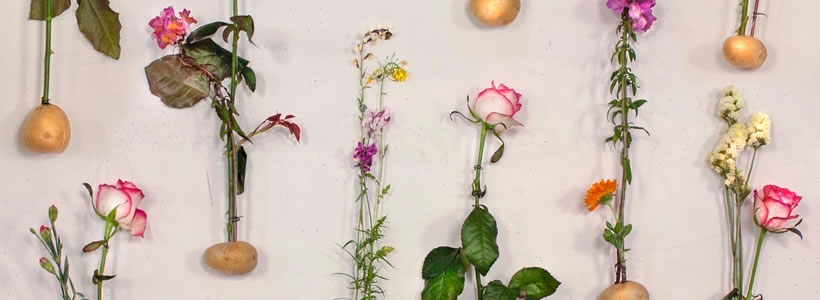 piuarch flowerprint installazione brera design week