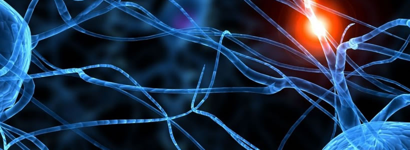 VISUAL MERCHANDISING NEUROSCIENZE Francesca Zorzetto