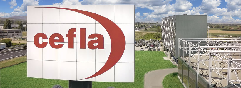 Cefla