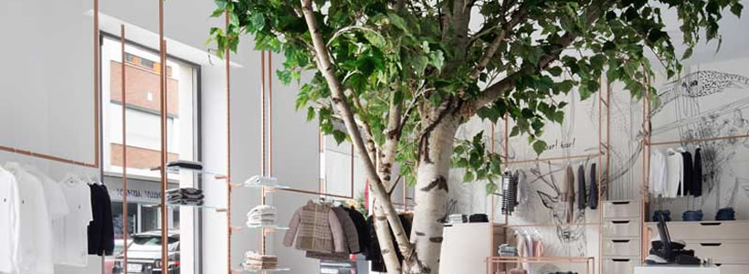 Studio Tenca Associati progetto negozio Albero dei Desideri Alba