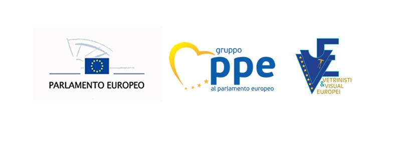 associazione vetrinisti visual europei al parlamento europeo di bruxelles