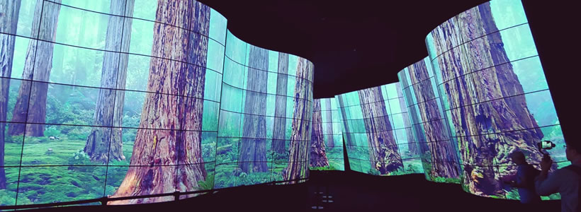 digital signage LG oled open frame