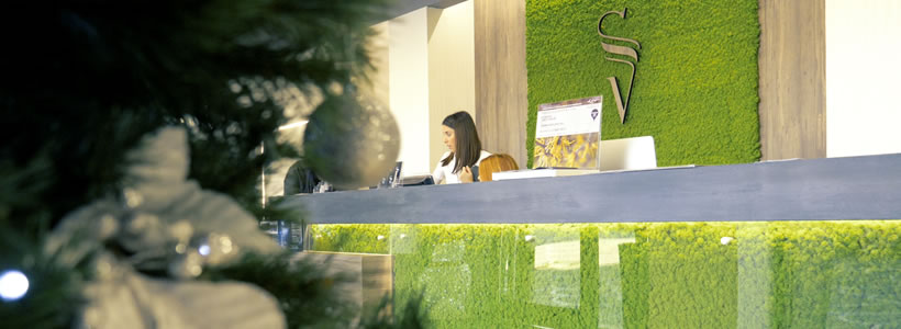 Sara Vecchi Salon Roma con area verde e dettaglio del muschio stabilizzato
