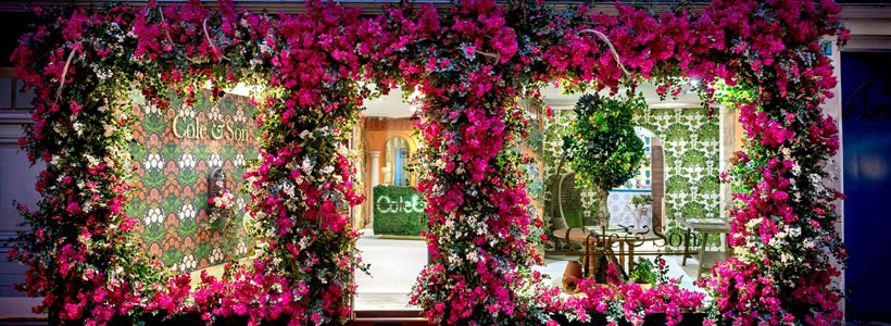 wallpaper Cole & Son - Paris showroom