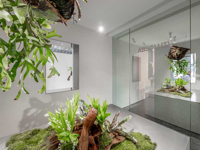 MDO Architects designed the Absolute Flower Shop