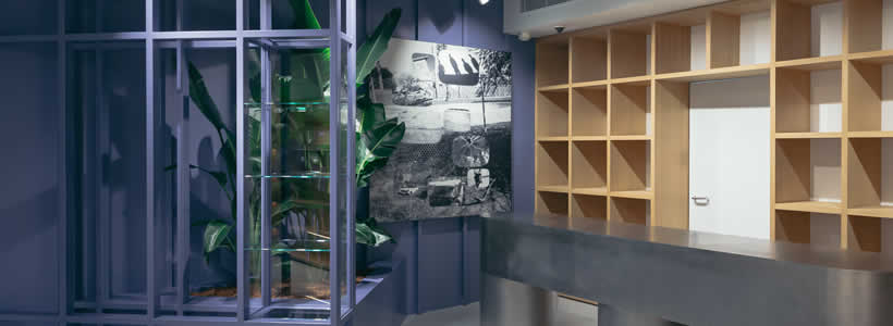 Willo Perron designs Stüssy Paris