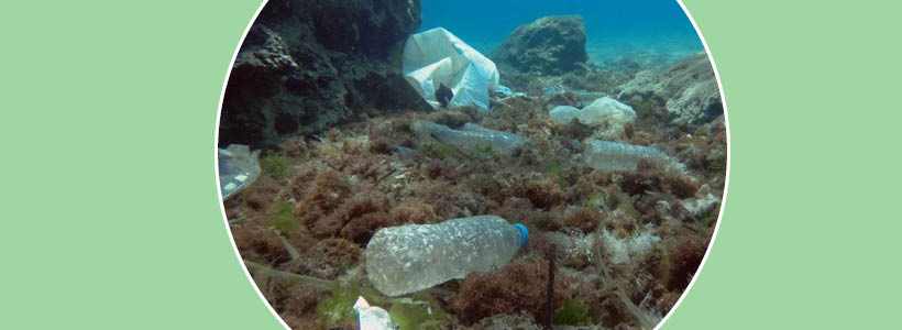 nuove normative sulla plastica