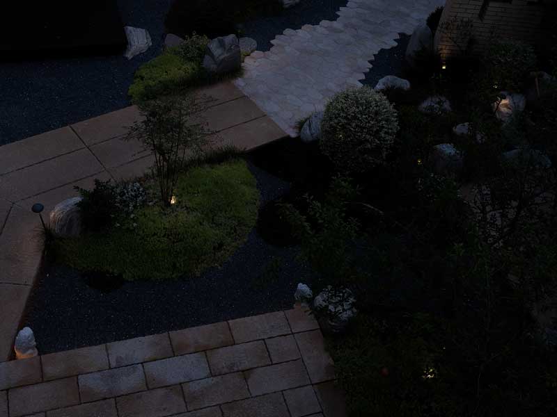 Blooming flowers