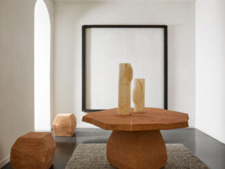 Collezione Natural Disco di Collection Particulière