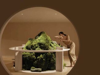 Hormeem Muscle research aesthetics center in Fujian