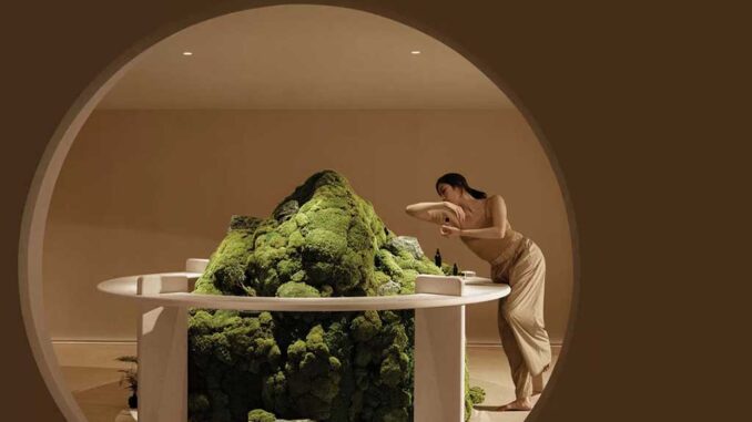 Hormeem Muscle research aesthetics center in Fujian