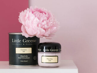 Little Greene pitture e carte da parati