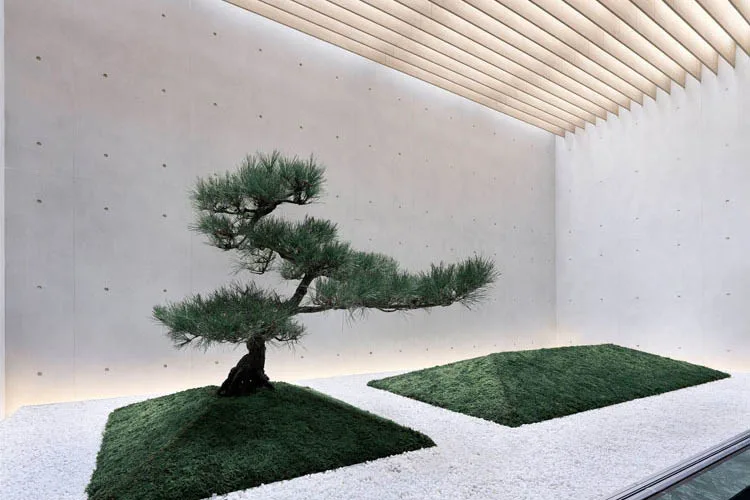 Giardino giapponese nel flagship store Rolex Omotesando a Tokyo, con un elegante pino sempreverde e colline di muschio che evocano armonia e continuità
