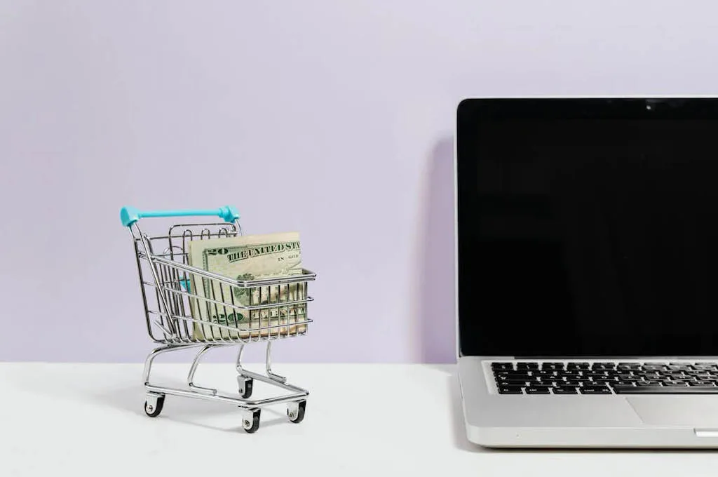 SHOPPING ONLINE