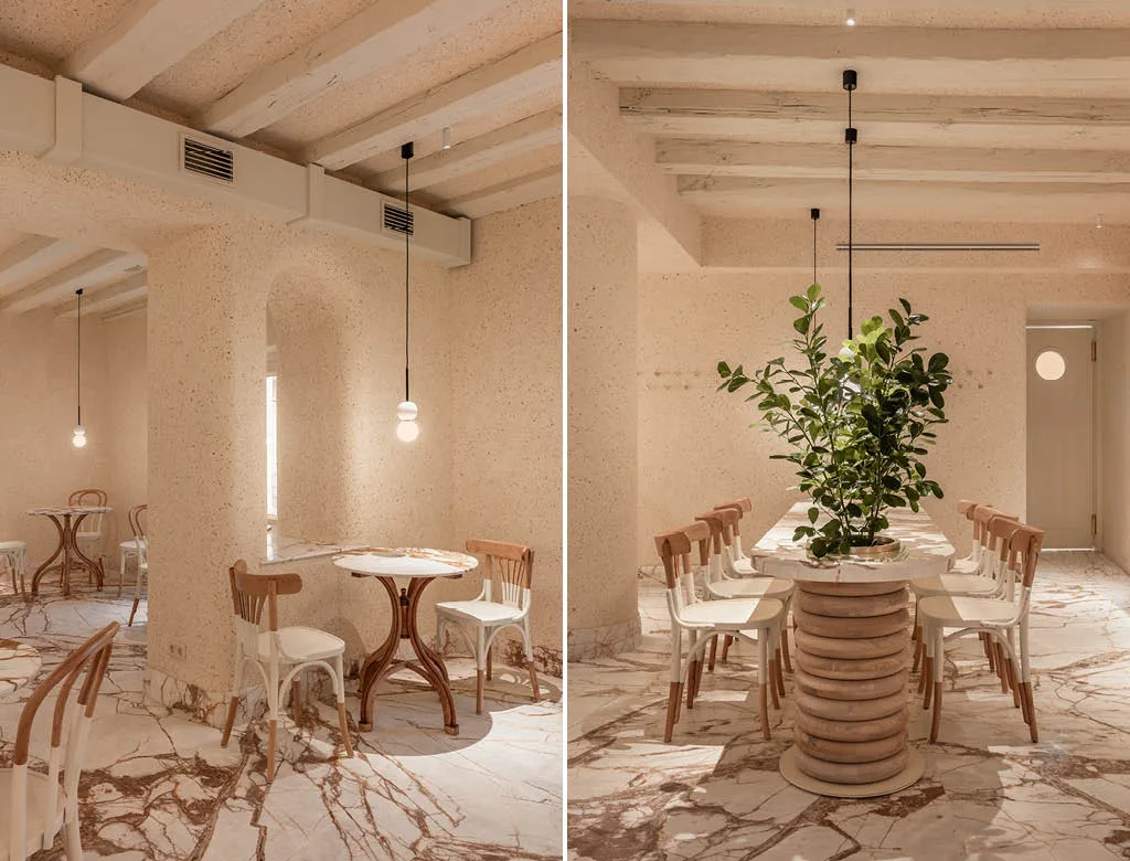 Innovative eggshell plaster for sustainable pastry shop design