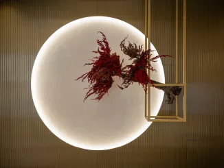 Installazione sospesa con bonsai rosso davanti alla finestra circolare simbolica del Kagurazaka Saryo Milano