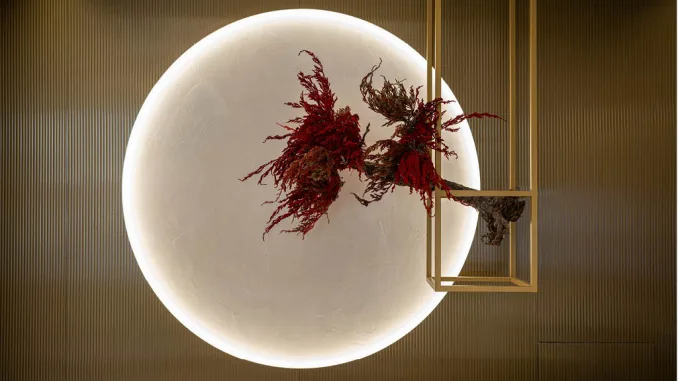 Installazione sospesa con bonsai rosso davanti alla finestra circolare simbolica del Kagurazaka Saryo Milano