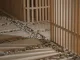 Dettaglio del percorso zen nella teahouse artistica a Foshan, con pavimentazione in legno su letto di ciottoli e pareti in listelli verticali firmate Lim + Lu