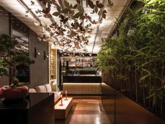 Ingresso di HIO Sushi Lab a Palermo, bar con bonsai, installazione di farfalle sospese e parete in bamboo progettati da Luigi Smecca Architetti.