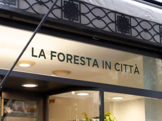 Vista esterna della vetrina Foresta in Città a Trieste