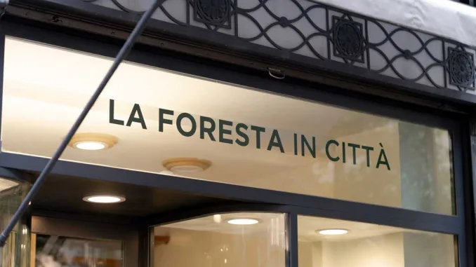 Vista esterna della vetrina Foresta in Città a Trieste