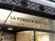 Vista esterna della vetrina Foresta in Città a Trieste