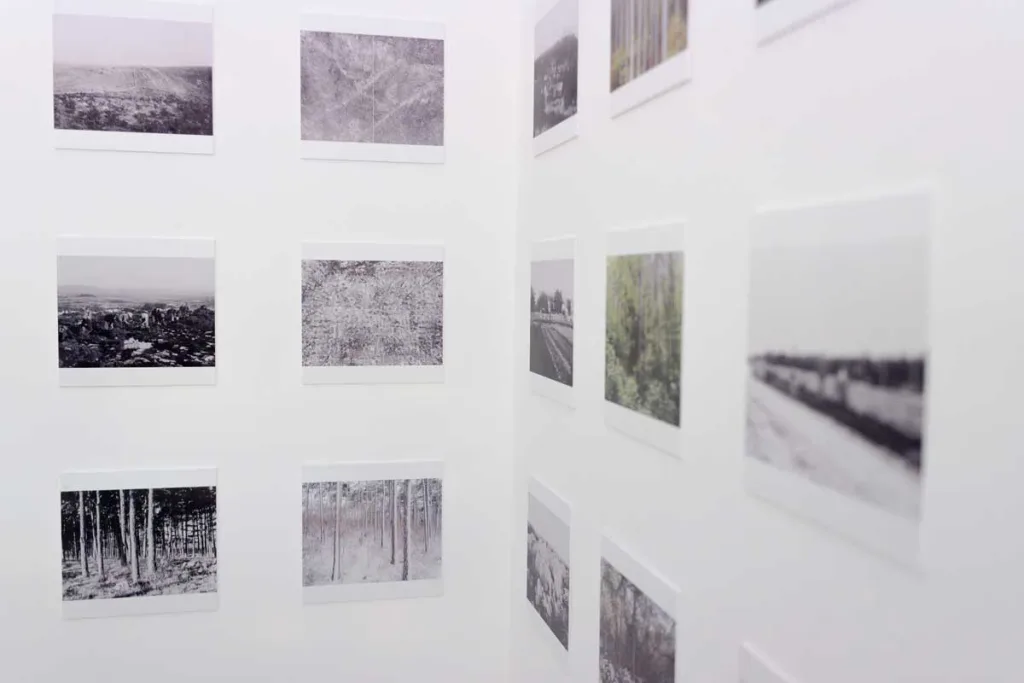Installazione fotografica “Da pietra a bosco” di Manuela Schirra e Fabrizio Giraldi