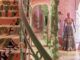Interno del flagship store Papa Don’t Preach a Delhi con scala scultorea, pavimenti decorativi, manichini couture e palette cromatica rosa e verde Interior of the Papa Don’t Preach flagship store in Delhi featuring a sculptural staircase, decorative flooring, couture mannequins and a pink-and-green color palette