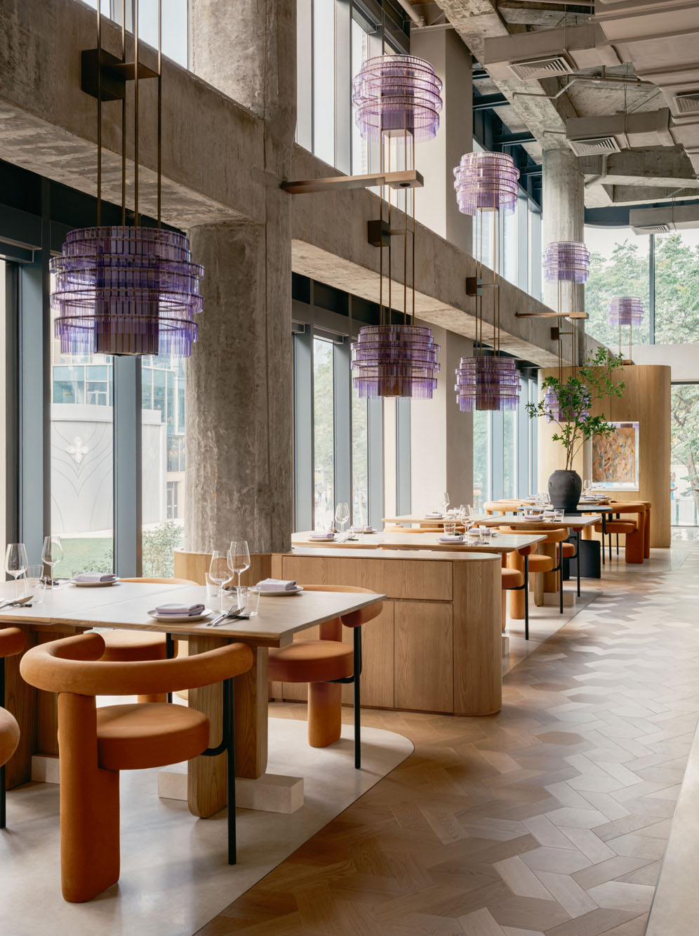 Dining area of Aster restaurant with wooden tables and suspended lighting installations