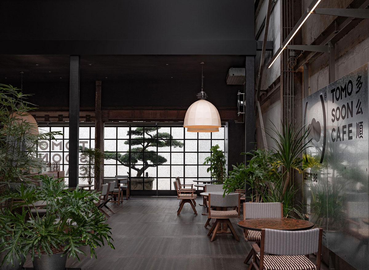 Interior view of TOMOSOON Cafe with integrated greenery, translucent surfaces, wooden furniture and glass façade overlooking a bonsai tree