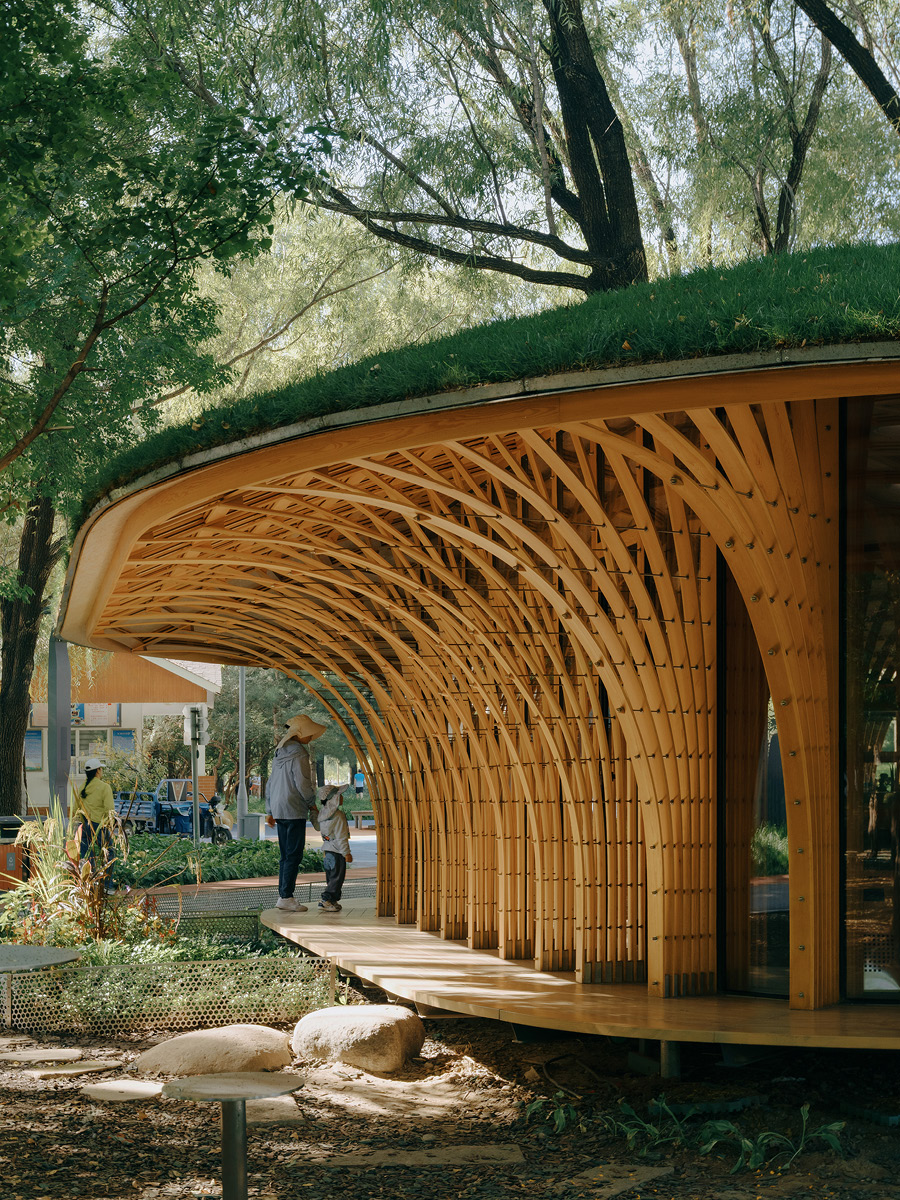 Struttura esterna del West Garden Florist con listelli curvilinei in legno e pedana perimetrale nel parco Haidian di Pechino.
